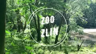 ZOO and Castle Zlin - Lešná  (Czech Republic) Зоопарк в городе Злин