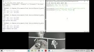 How to make dictionaries in Python