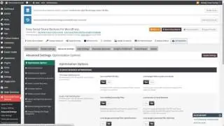 How To Optimize: Bitz WordPress Theme
