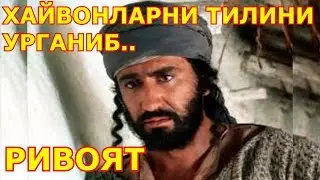 Хайвонларни тилини биладиган одам хикоя ривоят