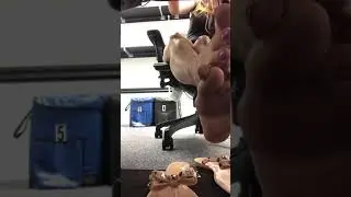 Flip flop dangle