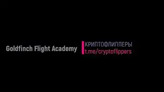 Goldfinch Flight Academy инструкция по регистрации