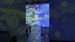 Van Gogh, The Immersive Experience, Copenhagen, Starry Night