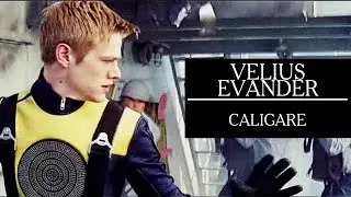 VELIUS | Caligare