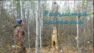 ТОС 