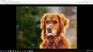 Learn to create Image Slider in HTML5, CSS3 and JQuery - learn jQuery