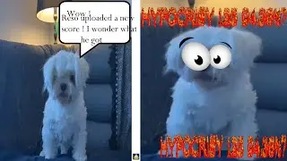 hypocrisy 1.25 (cadmium) 94.36