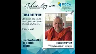 Ассоциация "РОСА". Тема вебинара: Лечение деревьев с помощью технологии стволовых инъекций MAUGET.