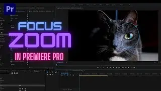 Premiere Pro Tutorial -  How to Zoom in On Part of Video Clip