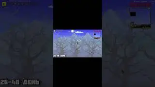 Зелье рандомного телепортирования в Terraria 