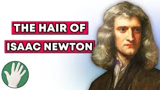 The Hair of Isaac Newton - Objectivity 271