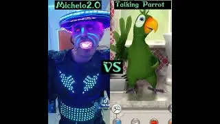 Who Is Best ? 🤣 👌 Talking Parrot VS Michelo2.0 Funny Laughing Song 🎵 