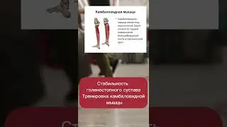 Стабилизация голеностопа #мобильность #реабилитация #sports #спорт