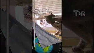 Твой психолог следит за тобой?