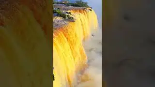 #trending #shortvideos #viral #viralvideos