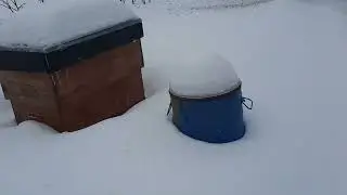 20 Февраля зимуем дальше