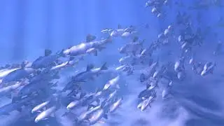fish swamp animated rigged cinema 4d