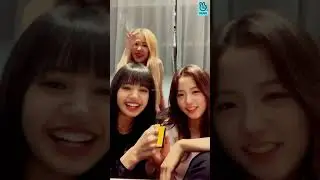 only Lisa can do that to Blackpink