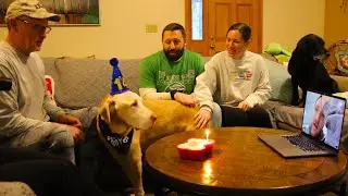 Celebrate Life