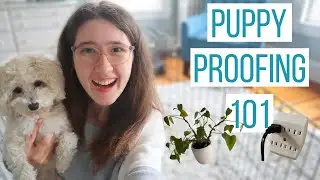 Can you spot these 10 puppy hazards? | How to Puppy Proof Any Space!