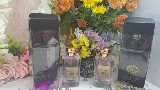A fragrant order from the Eva website. 2025.