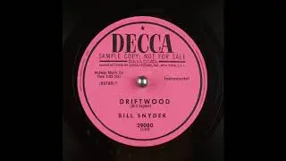 Bill Snyder - Driftwood