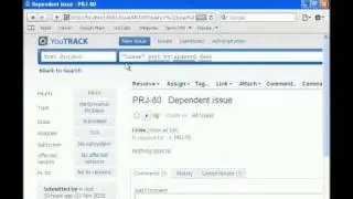 Simple example implemented using YouTrack .NET client library