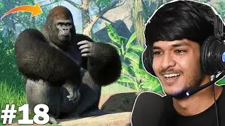 GORILLA | PLANET ZOO GAMEPLAY #18