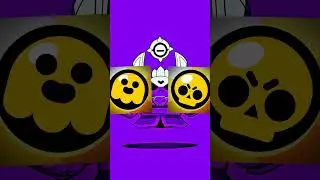 Which one is better? 