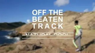 OFF THE BEATEN TRACK  - Natural Pool