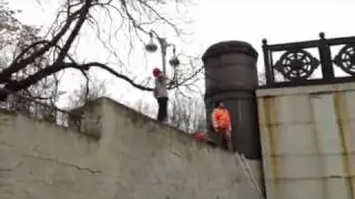 Femen жгут