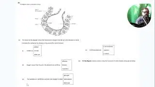 Q4 Teacher guided trilogy FT exam Q 4