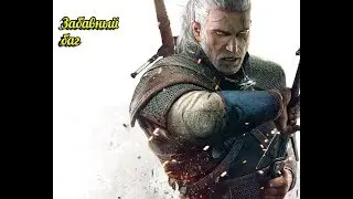 Забавный баг в Ведьмак 3