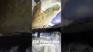 Prawdziwa perełka e38