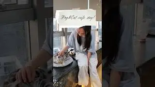 #china #jiangsu #catcafe #dogcafe #minivlog