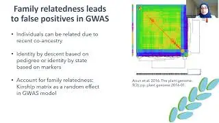 Genome-wide association mapping for wheat improvement