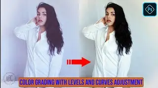 Color Grading with Levels and Curves Adjustment