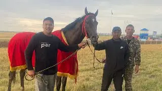 Құнан бәйге Павлодар!