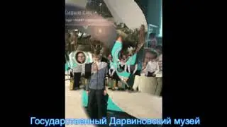 Чему учат в школе?