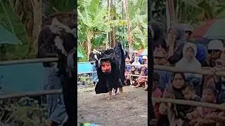 TURONGGO LEWO‼️BARONGAN‼️
