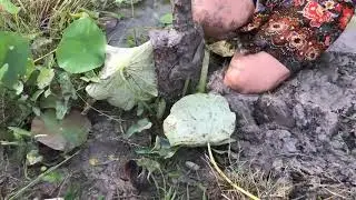 Примитивный Технология  новые амазонки primitive tehnologi