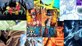 海賊王專題#3：十大自然系惡魔果實