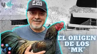 THE ORIGIN OF THE MK | Jerry Lizárraga