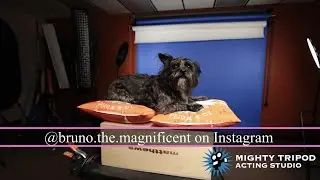 Self-Taping Studio Tour