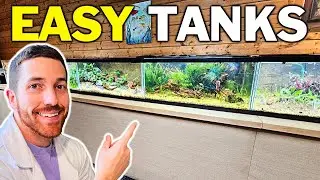 Easy Is Beautiful - Our Setup Methods for 12 Planted Tanks!
