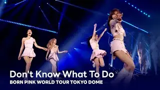 BLACKPINK - 'Don't Know What To Do' BORN PINK WORLD TOUR TOKYO DOME
