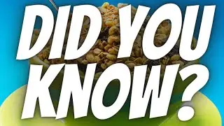 Top 5 Amazing Ketogenic Diet Benefits | Low Carb Diet | #Shorts
