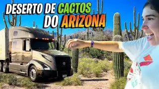 ENTREGA DE CAMINHÃO NO ESTADO DOS CACTOS