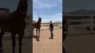 Dancing with a friend