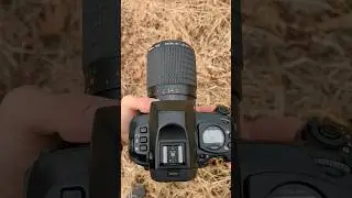 5lbs of pure camera magic, Mamiya ZD + 120mm f4 macro